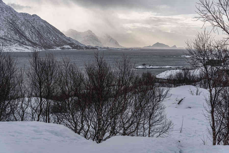 Noruega - islas Lofoten 202 - Vestpollen - Austnesfjorden.jpg
